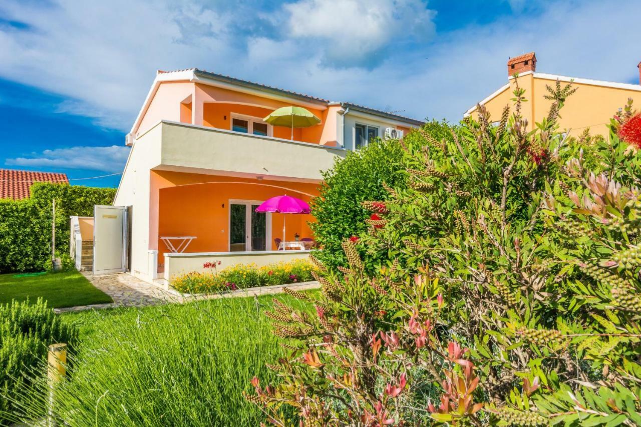 Apartmani Albi زاتون المظهر الخارجي الصورة